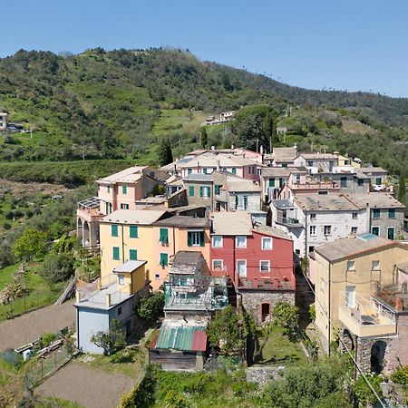 Casa Isoletta Area Cinque Terre Lejlighed Levanto Eksteriør billede